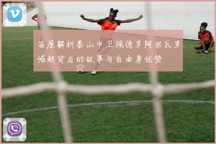 苗原解析泰山中卫佩德罗阿尔瓦罗崛起背后的故事与自由身优势